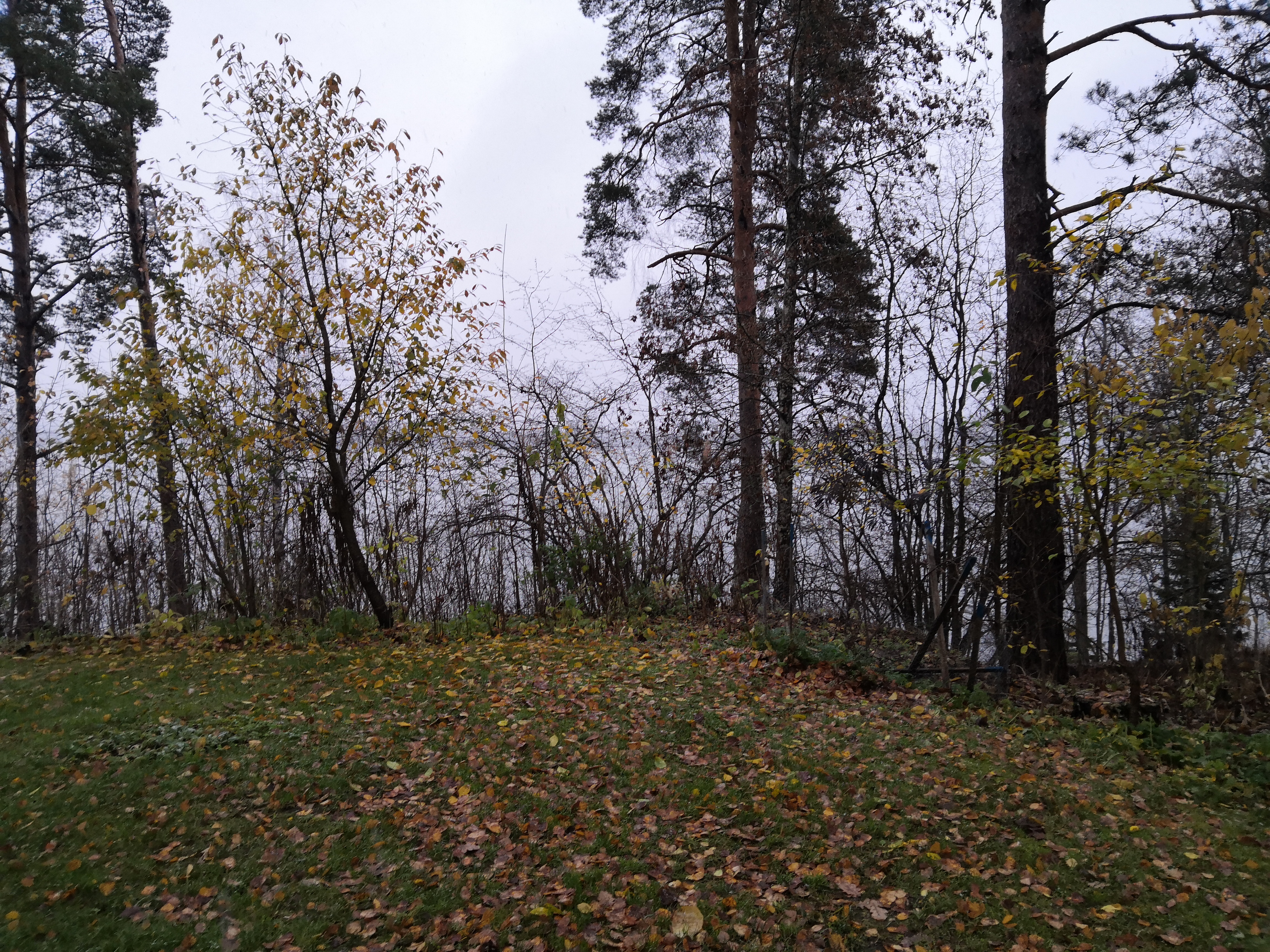 Lake Bodom