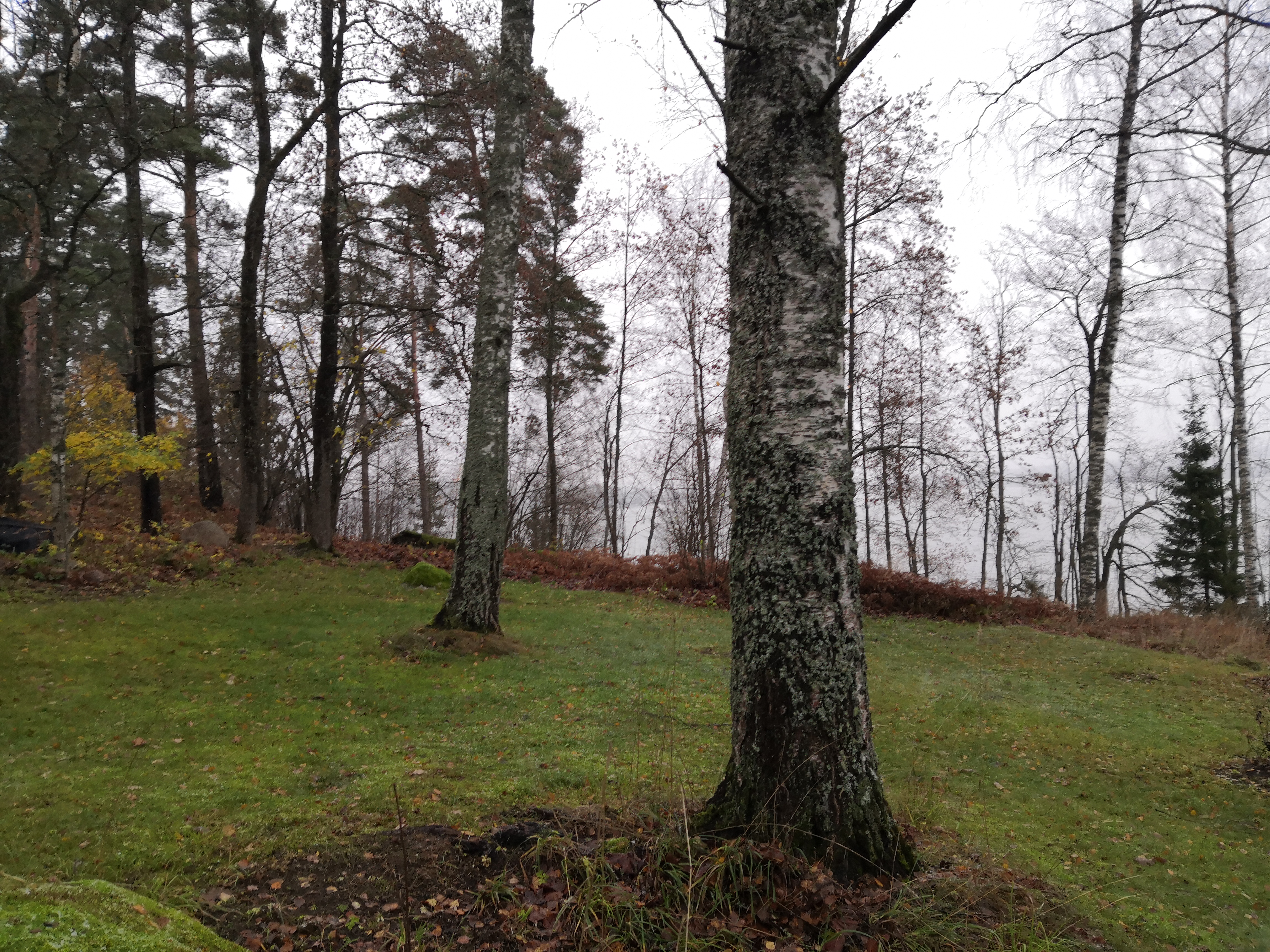 Lake Bodom